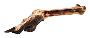 Struccláb ínnel és karommal - 1 db